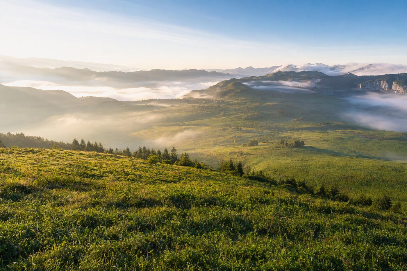 武隆仙女山高山草原晨雾实景