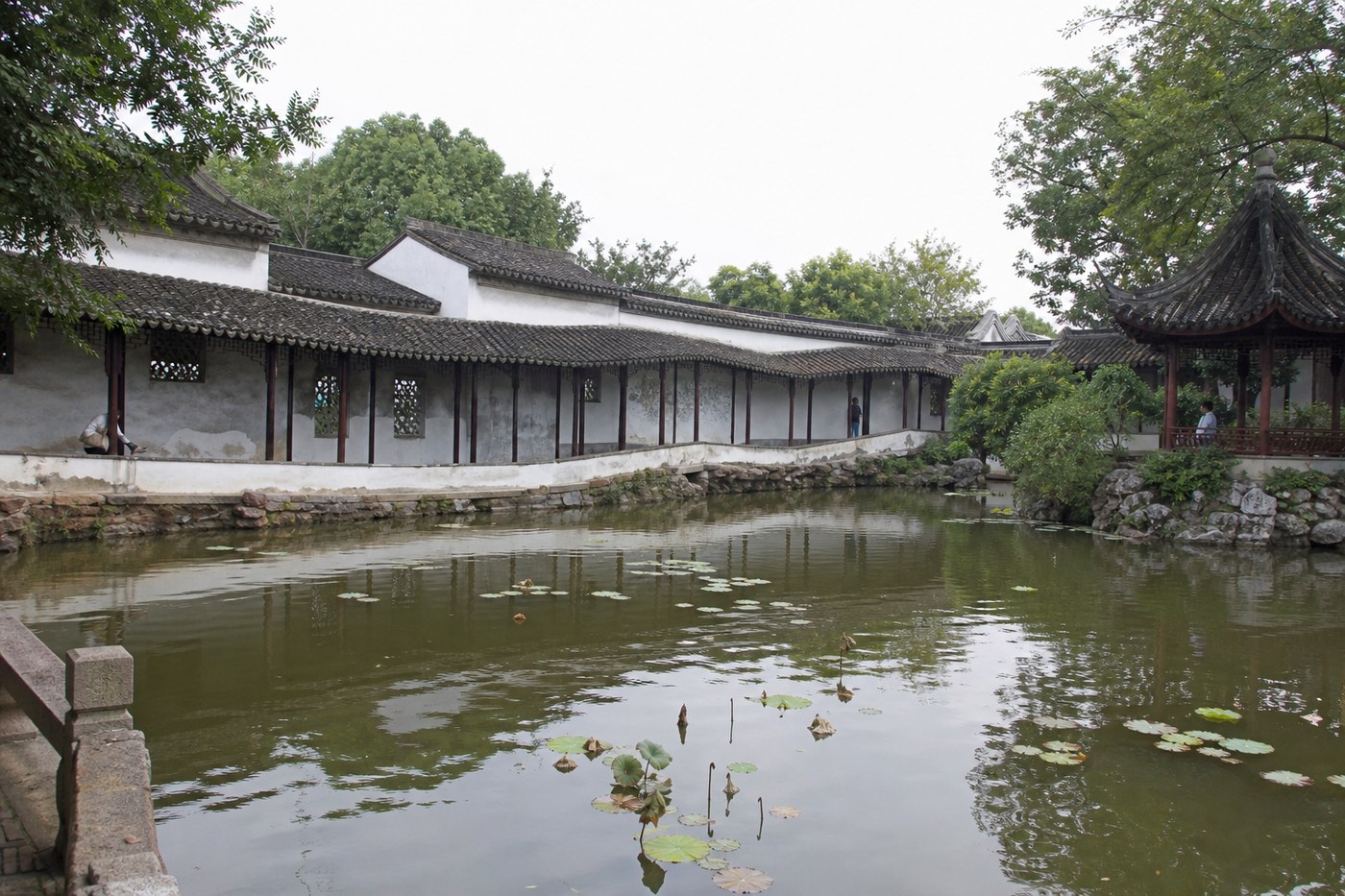 苏州园林池水与白墙亭廊景观示意